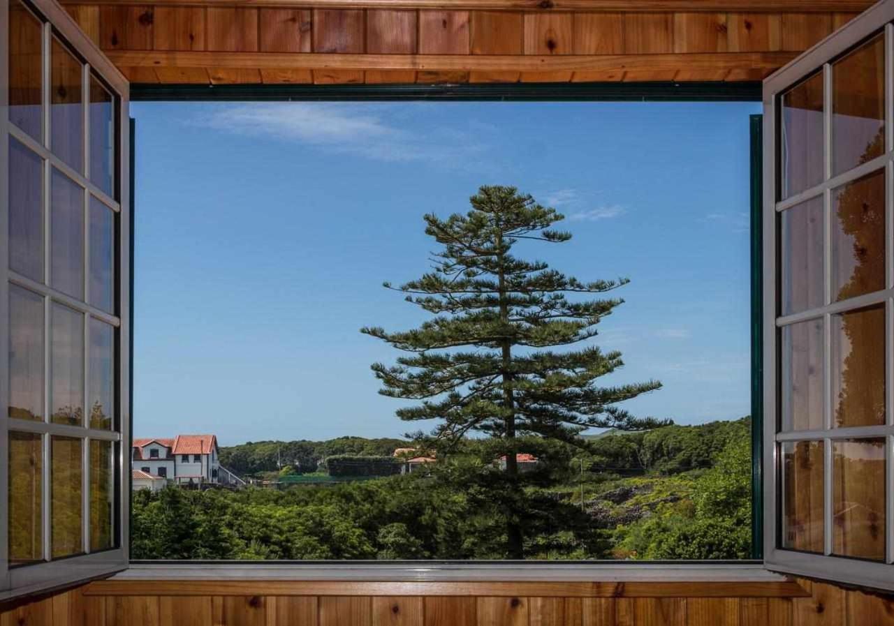 Vivenda Gomes Al Villa Porto Martins Exteriör bild